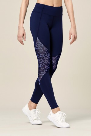 Pantaloni Bloch Ezra Animal Printed Mesh Panelled Full Length Tight Donna Parisian | ITQCS27564