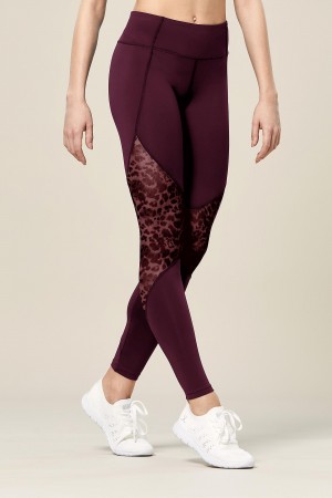 Pantaloni Bloch Ezra Animal Printed Mesh Panelled Full Length Tight Donna Lavish | ITEGJ69494