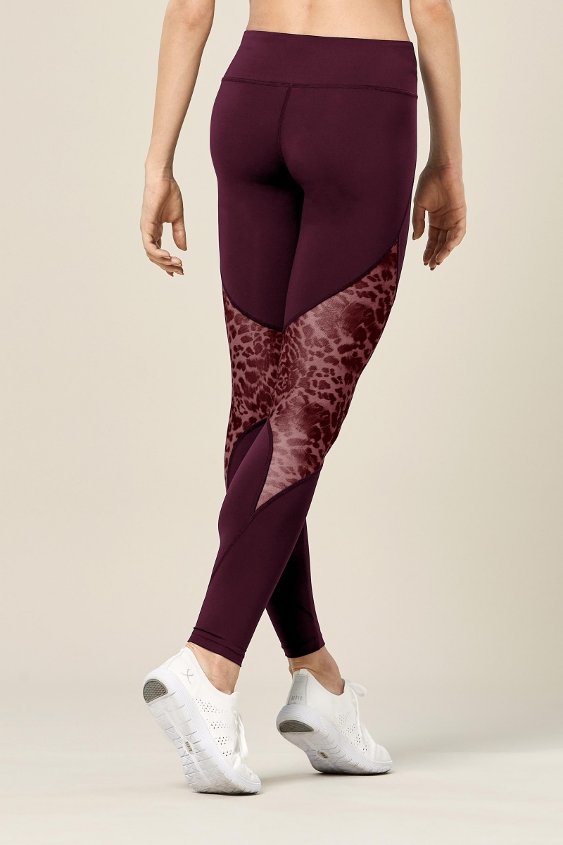 Pantaloni Bloch Ezra Animal Printed Mesh Panelled Full Length Tight Donna Lavish | ITEGJ69494